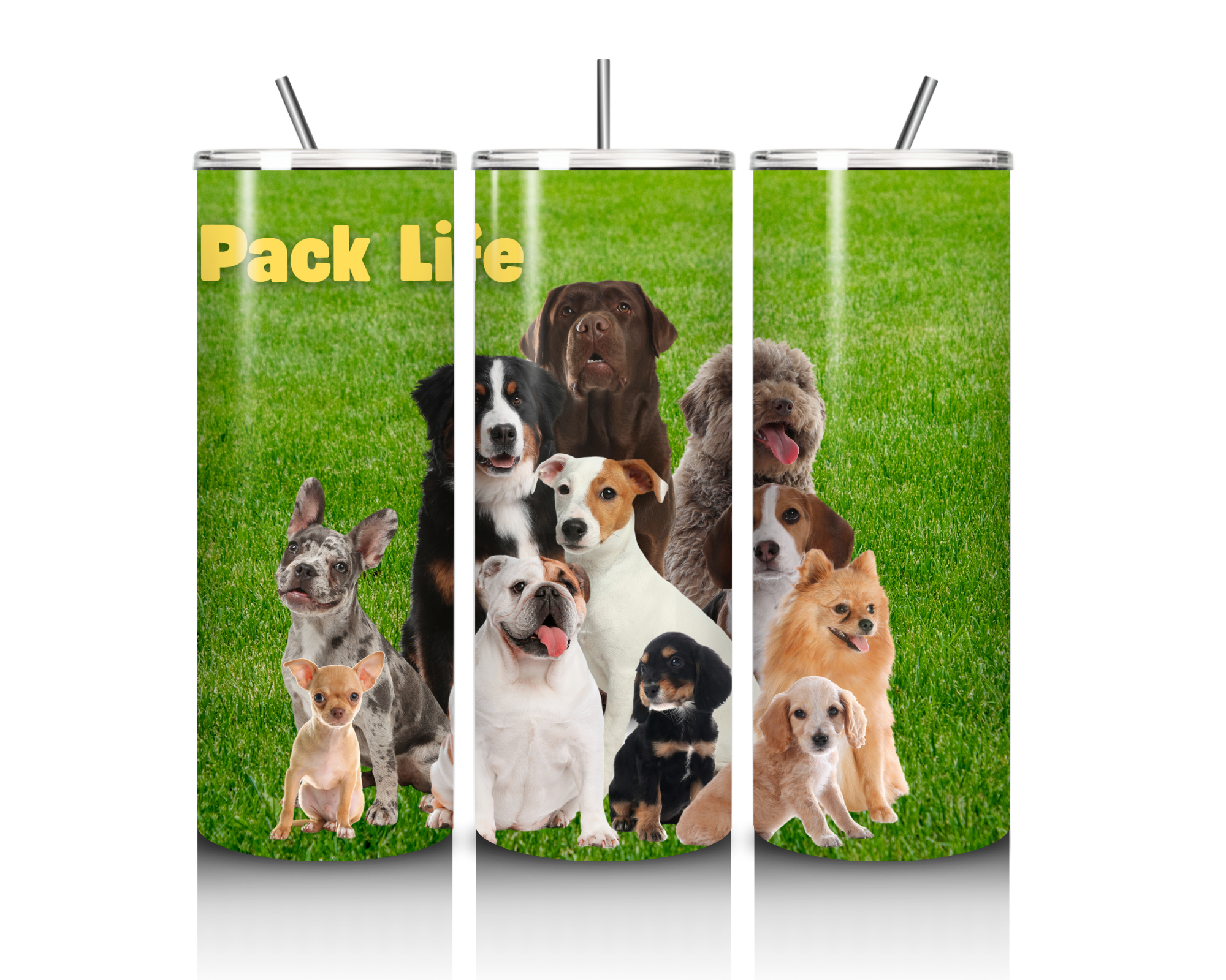 Stainless Steel 20oz Tumbler
